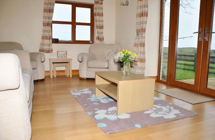 Aberystwyth Cottages - Dinas מראה חיצוני תמונה